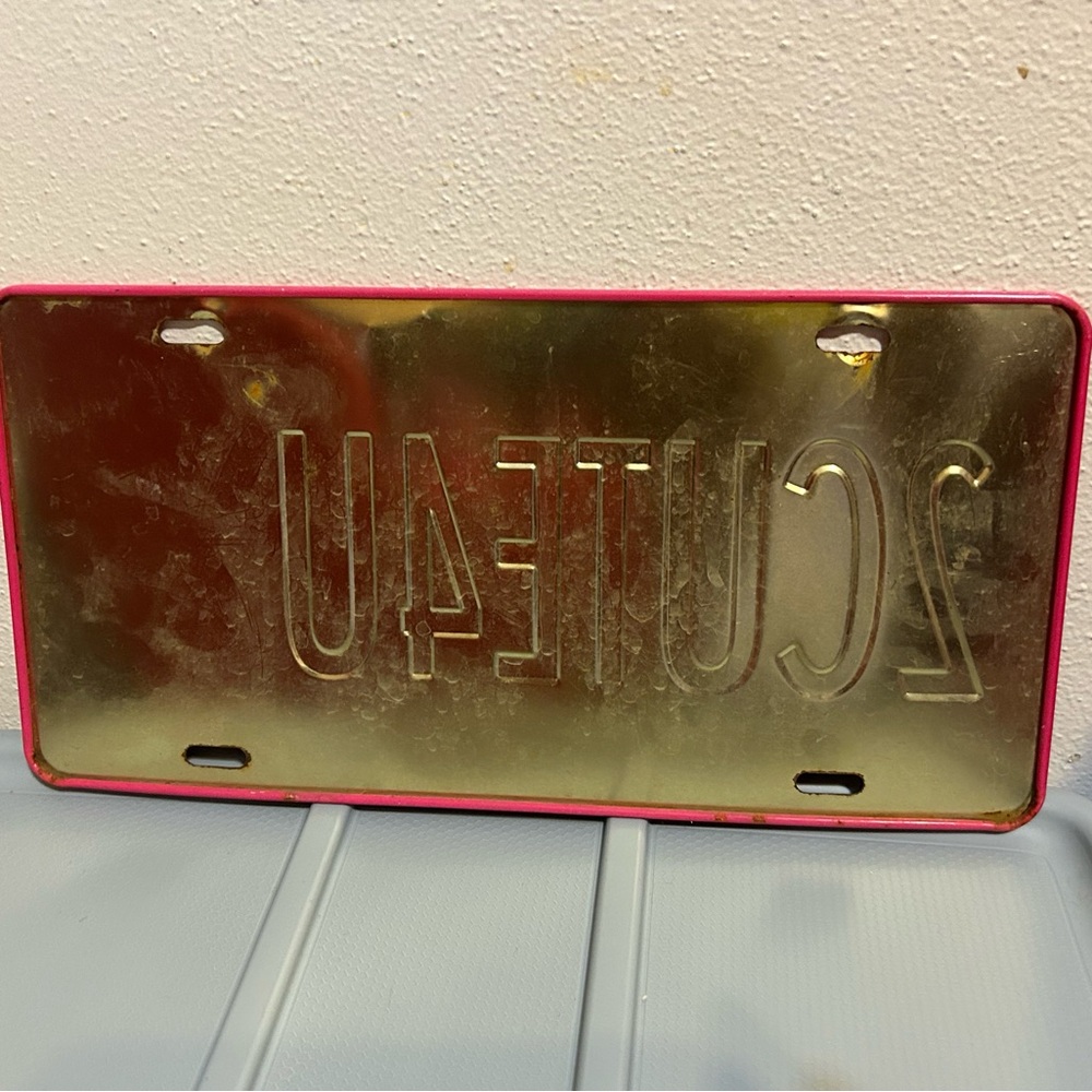 License Plate - Picture 2 of 2